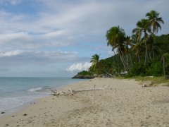 Antigua hat einsame Traumstrände